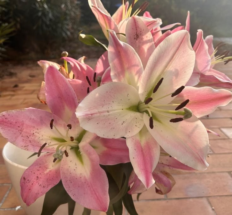 $40 flowers