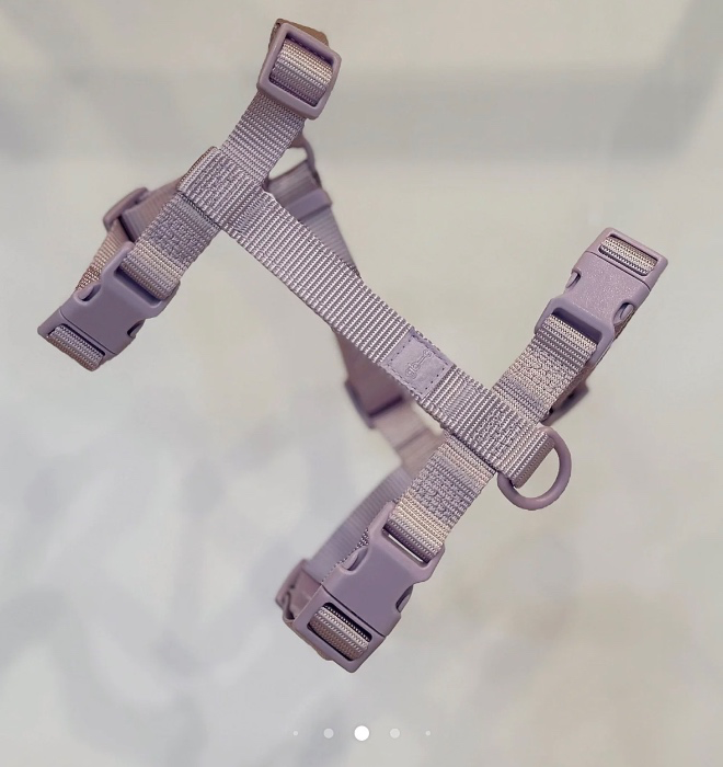 Good Boy Collective in Lilac