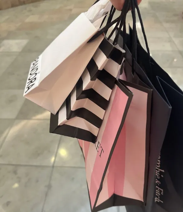 tiny shopping trip 💸✨