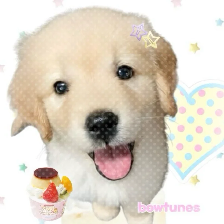 ($45) mwahhhhsmooooch