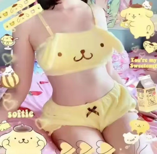 Pom Pom Purin outfit 
