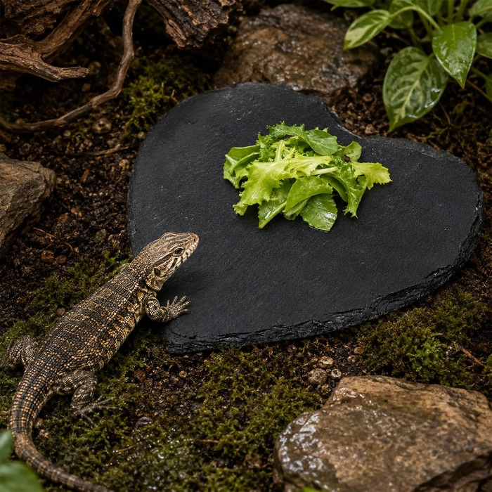 Reptile Basking Platform, Heart Shape Natural Rock Reptile Food Dish, Turtle Feeding Bowl, Habitat Decor for Bearded Dragon Chameleon Frog Lizard Gecko Hermit Crab - S- 8 × 8 inch