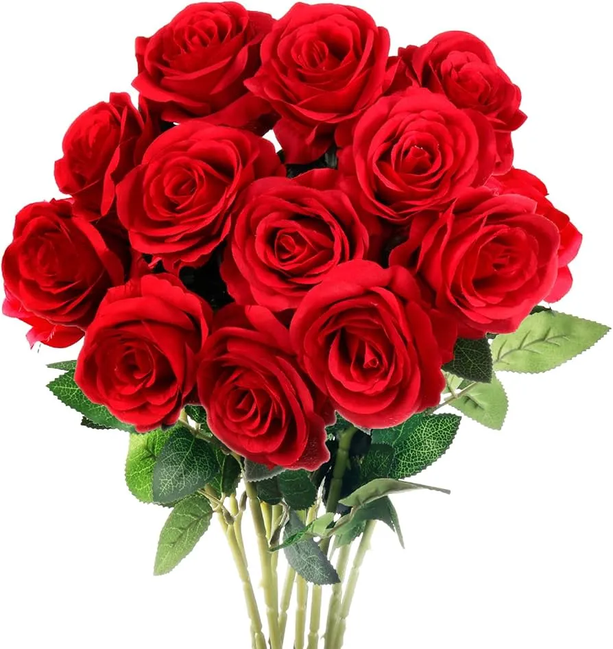 Roses 