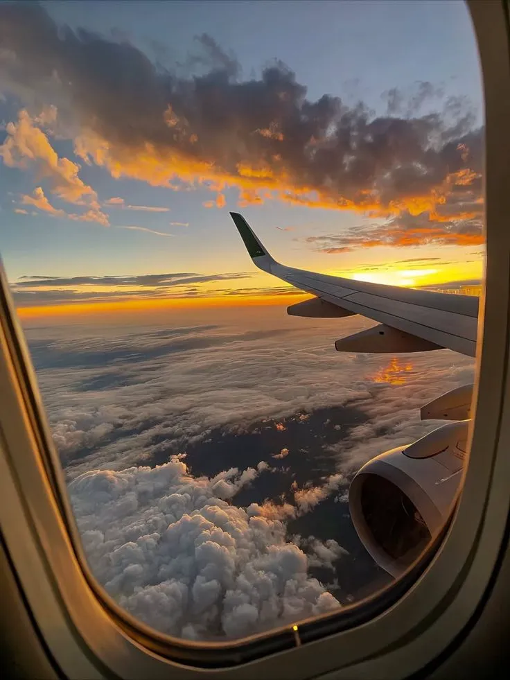 travel 🧳