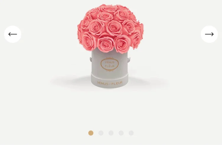 Venus et fleur mini le plein