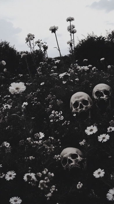  . ݁₊ ⊹ . ݁ 𝓅𝓇𝒾𝓋 𝒶𝒸𝒸𝑒𝓈𝓈  ݁ . ⊹ ₊ ݁.