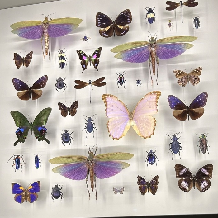 Bugs for bug pinning 