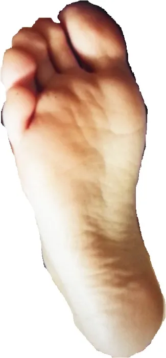 Sniff sniff sniff