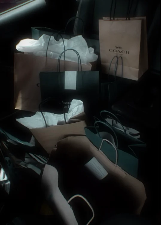 Luxury Shopping 